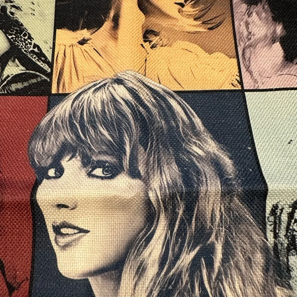 NWOT Taylor Swift inspired Pillow Case 18x18